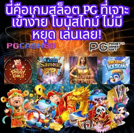 z16bet